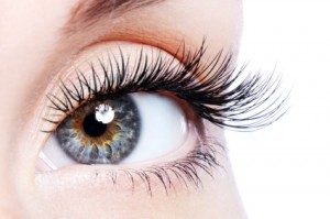 Beauty female eye with curl long false eyelashes Beauty female eye with curl long false eyelashes