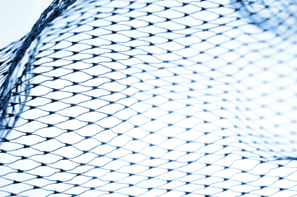 Netting
