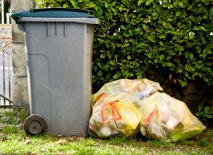 Trash for collection and recycling