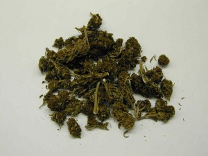 marijuana-dea-photo