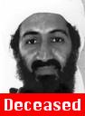bin laden captured
