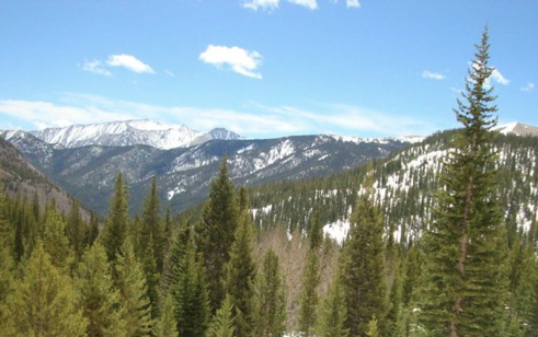 colo