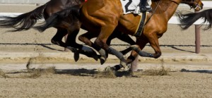 Thoroughbred horse racing