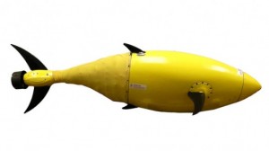 bioswimmer-robofish-537x302
