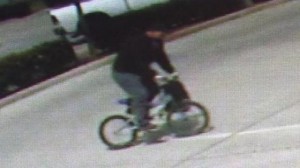 BMX-bandit-image