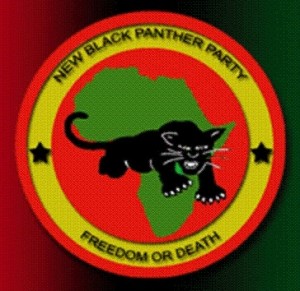 blackpantherptylogo