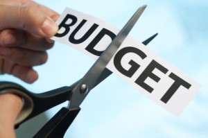 budget cut photo
