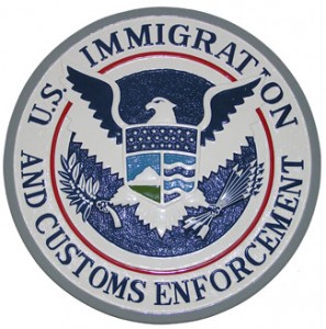 ice seal